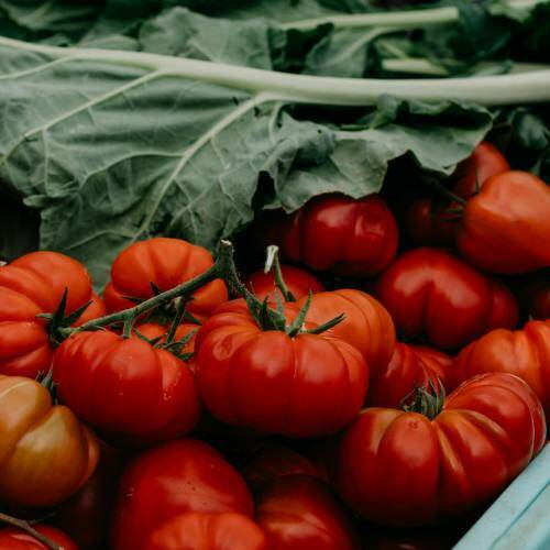 Marché traditionnel à proximité du Camping La Grainetière à Ile de Ré Tohapi